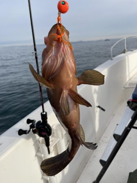 冬の播磨灘沖へタイラバ